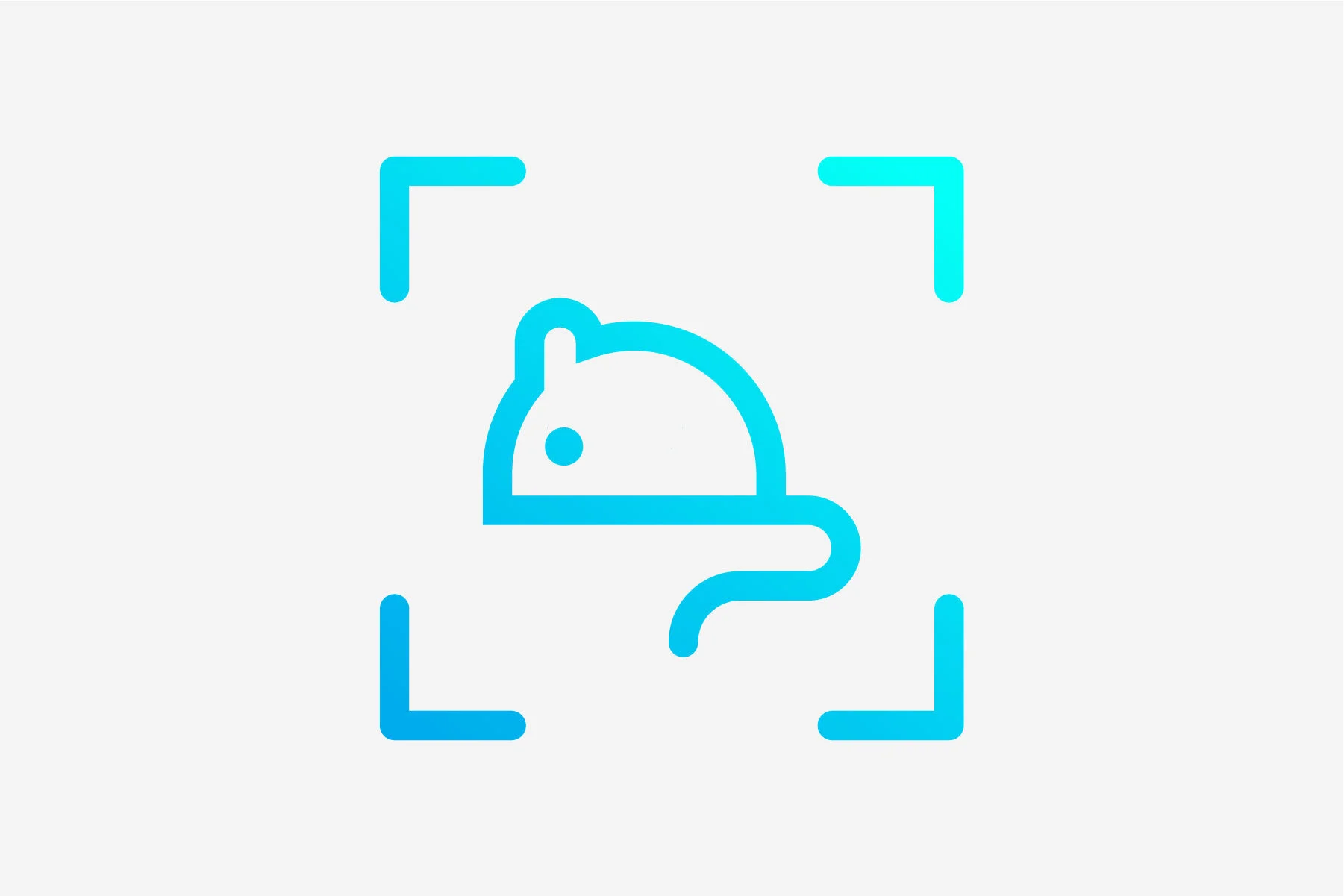 Platform Icons-02.jpg