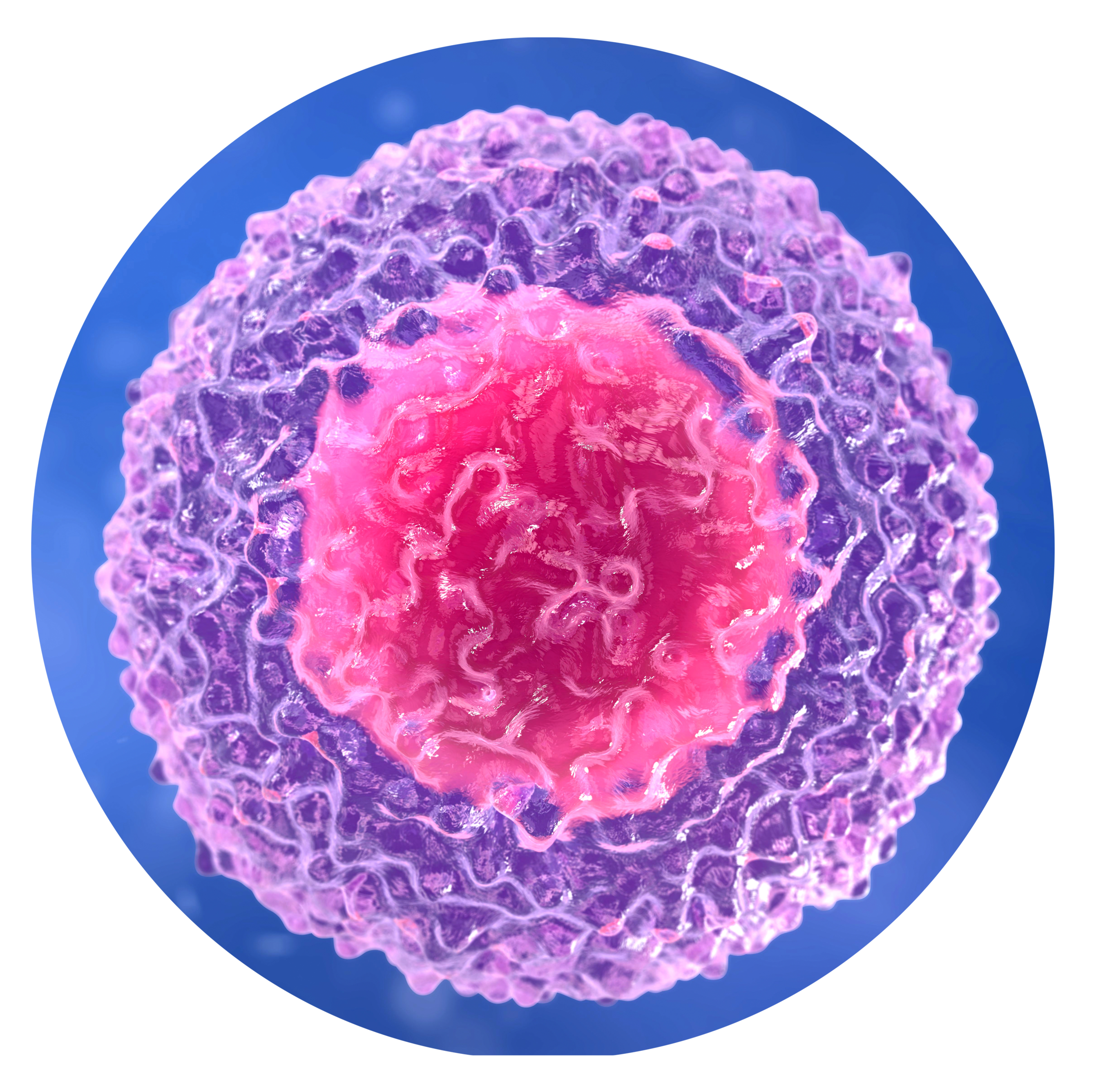 Cell Image.png